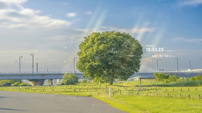 4k 治愈唯美阳光小镇轨道