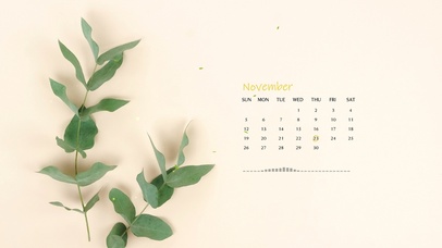 清新简约护眼绿植桌面