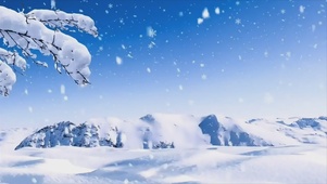 山雪