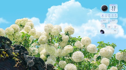 4K唯美治愈清新绣球花