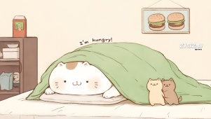 猫猫饿饿