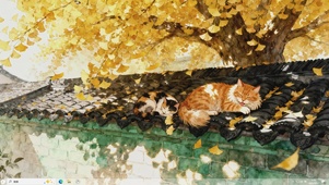 银杏落金-桌面主题