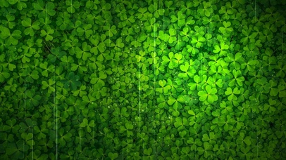 护眼壁纸系列之绿叶满屏