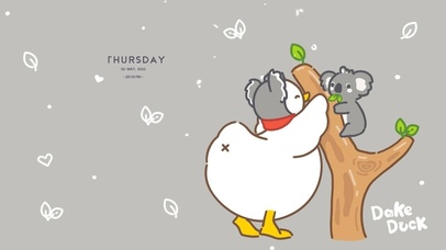 治愈鸭鸭与考拉