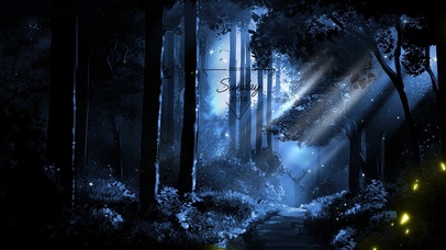 梦幻夜晚森林