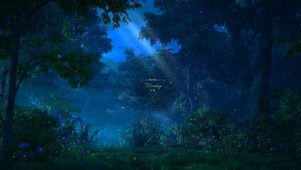 4k 治愈温馨夜晚宁静森林