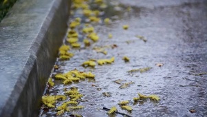 淅淅小雨