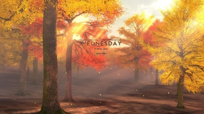 阳光枫林（带时间、音频）