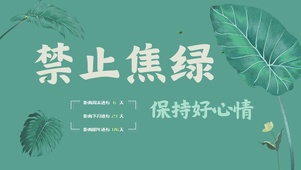 简约护眼禁止焦绿（带音乐）