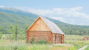 唯美治愈夏日木屋