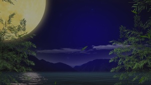 竹林圆月(无限循环)