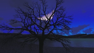 唯美月色静谧美景