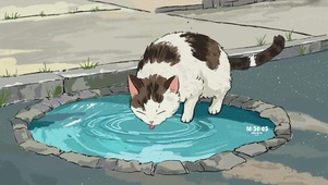 猫咪喝水