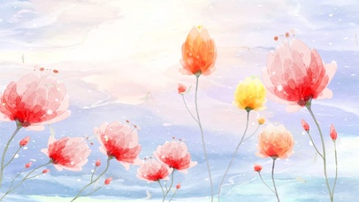 云星之花