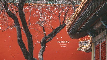 唯美红墙桃花雪景