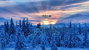 雪松~