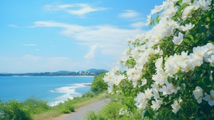 海浪无声 