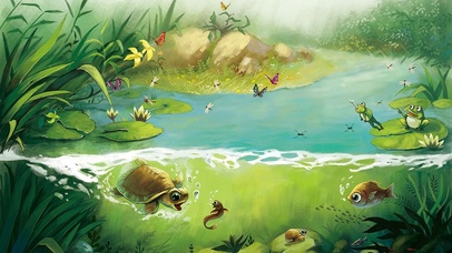 夏日池塘小青蛙