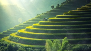 宁静的梯田