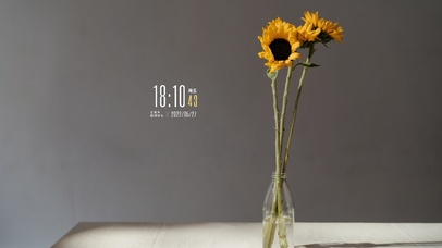 4k高清简约玻璃小向日葵