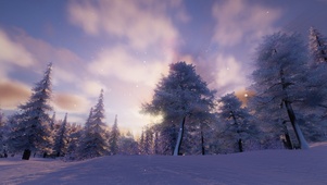 龙泉府雪松