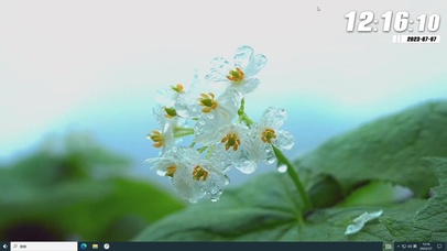 荷花 荷叶 水晶花 