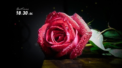 4k唯美玫瑰花桌面