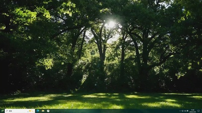 护眼森林绿景桌面主题