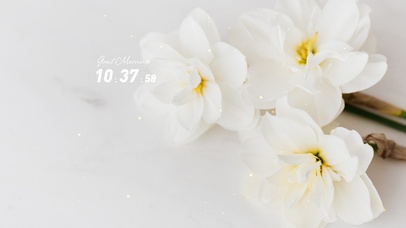 4k高清简约小清新系列