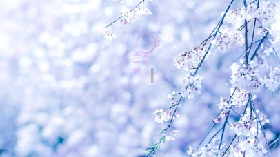 4K唯美古风桃花