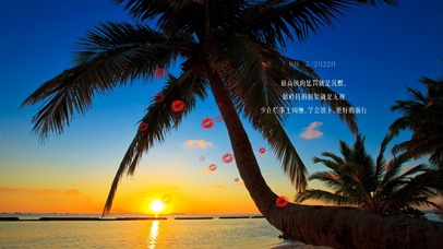 浪漫的是陪你看日落