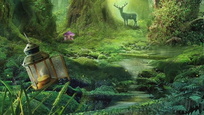 4K梦幻梦境中的森林