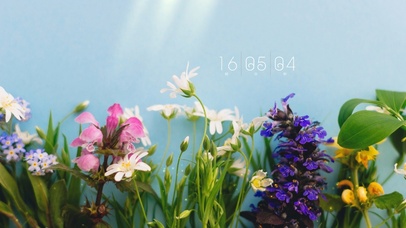 简约小清新花草桌面