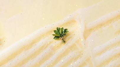 柚子叶～邪气退散