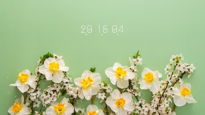 4k清新花草桌面