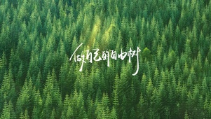 做自己的自由树