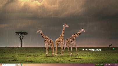 雨中长颈鹿主题