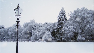 冬季雪景