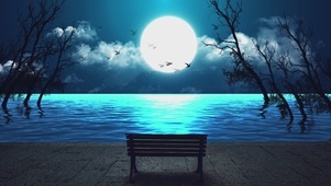 湖边夜景