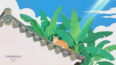 屋顶上的猫