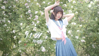 盛夏绽放的蔷薇