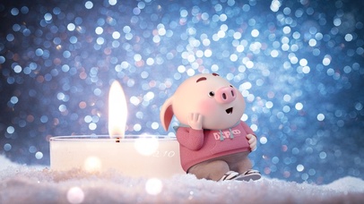 猪小屁-一见倾心