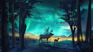 唯美夜晚流星林中鹿