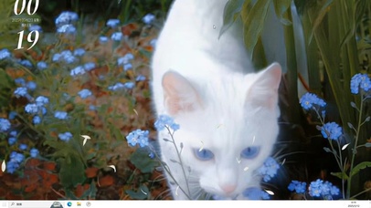 灵猫好运来  主题