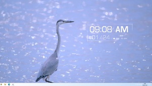 仙鹤与蓝海
