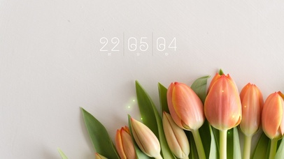 4k极简清新桌面