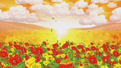 唯美的虞美人花海