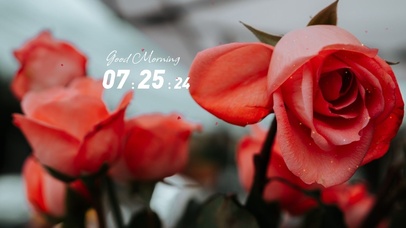 4k高清唯美简约玫瑰花系列