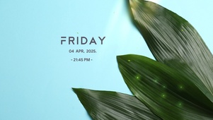 简约绿植ins风格桌面