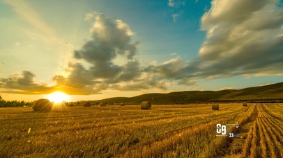 阳光下金色麦田